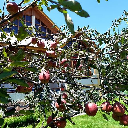 Heavenly Daze Cottage Manāli Dış mekan fotoğraf