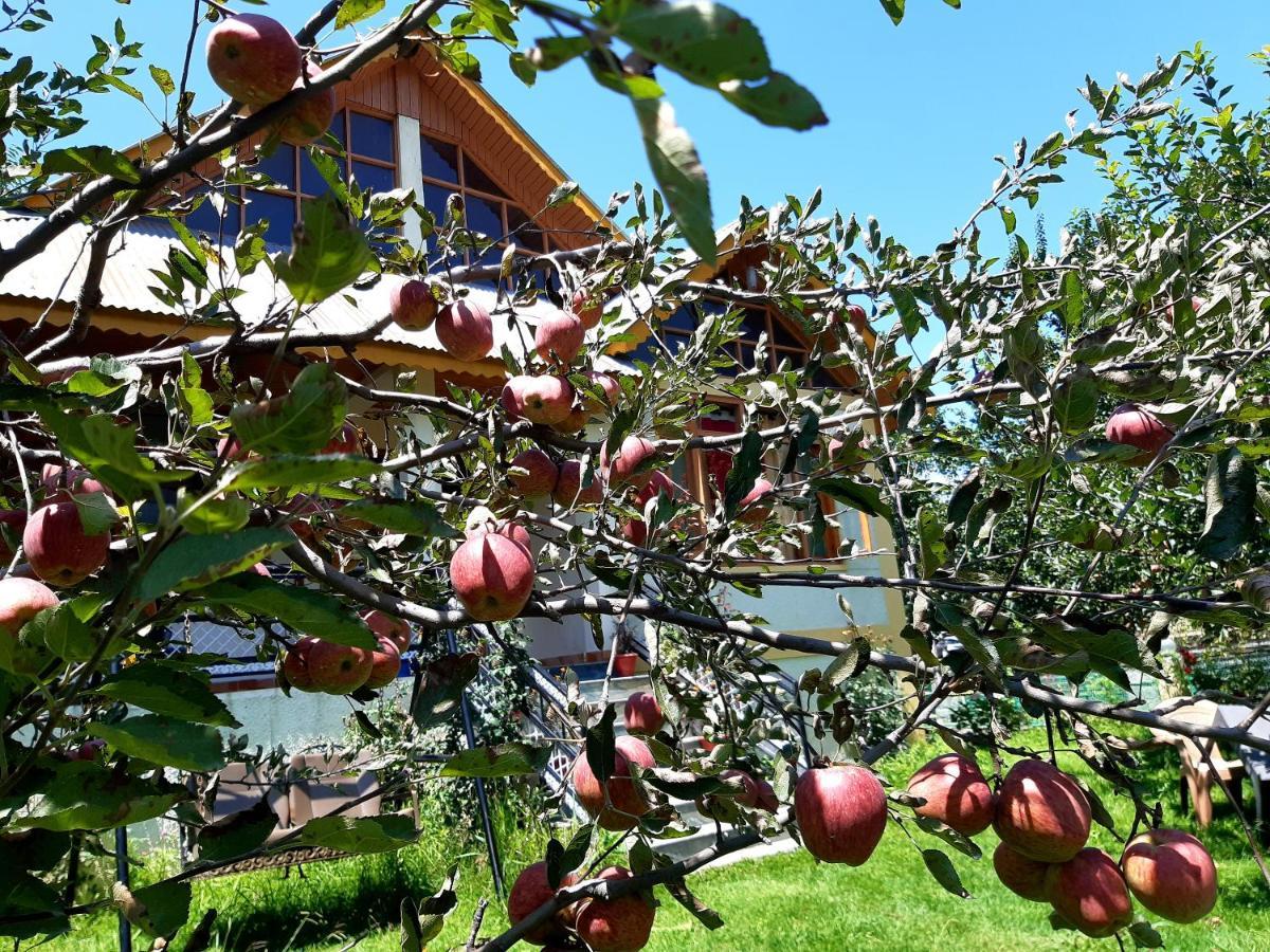 Heavenly Daze Cottage Manāli Dış mekan fotoğraf